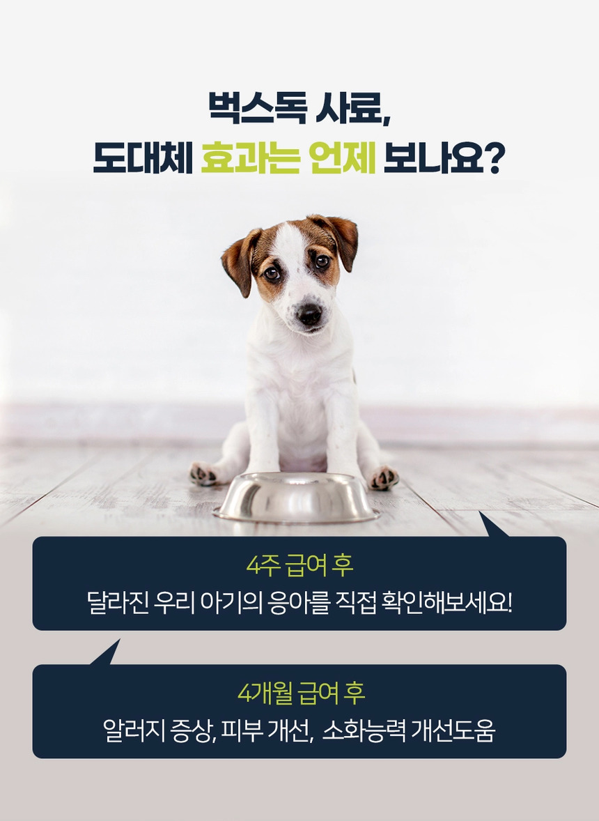 [NEW신상][무료배송] 벅스펫 벅스독 오리지널 1.2kg 23번째