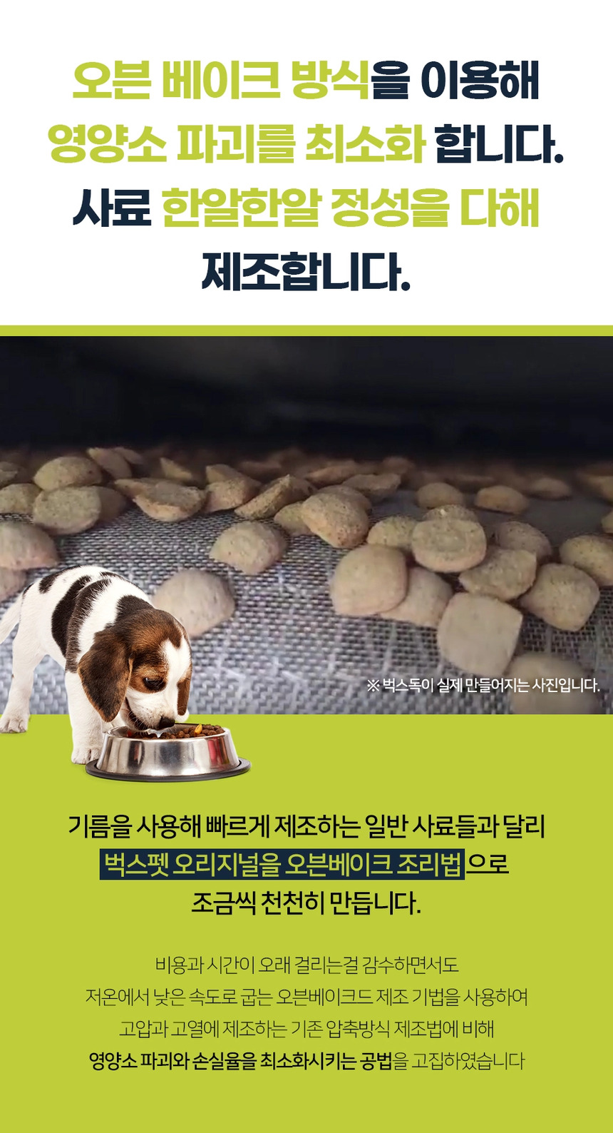[NEW신상][무료배송] 벅스펫 벅스독 오리지널 1.2kg 18번째