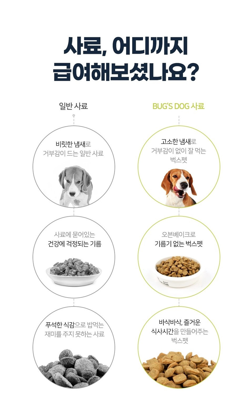 [NEW신상][무료배송] 벅스펫 벅스독 오리지널 1.2kg 10번째