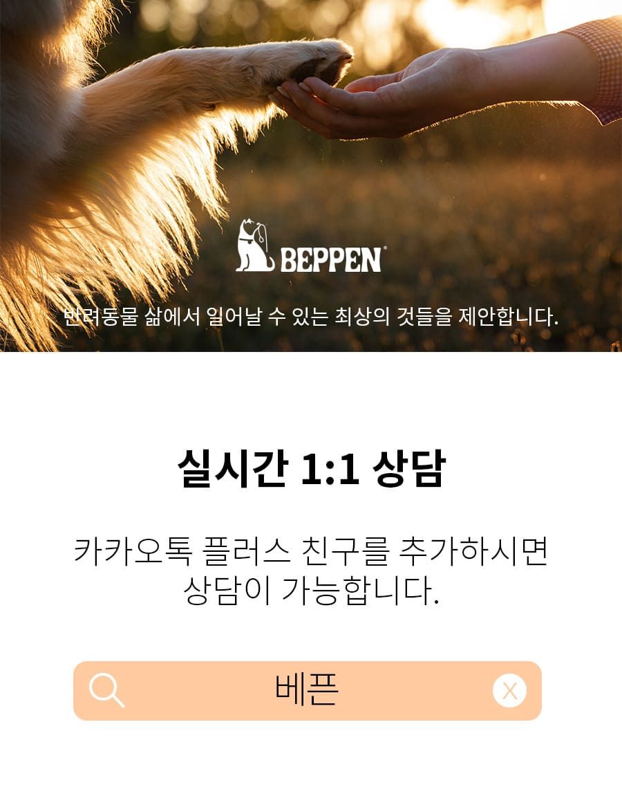 [무료배송] 베픈 뽀소밍 에어브러쉬 29번째