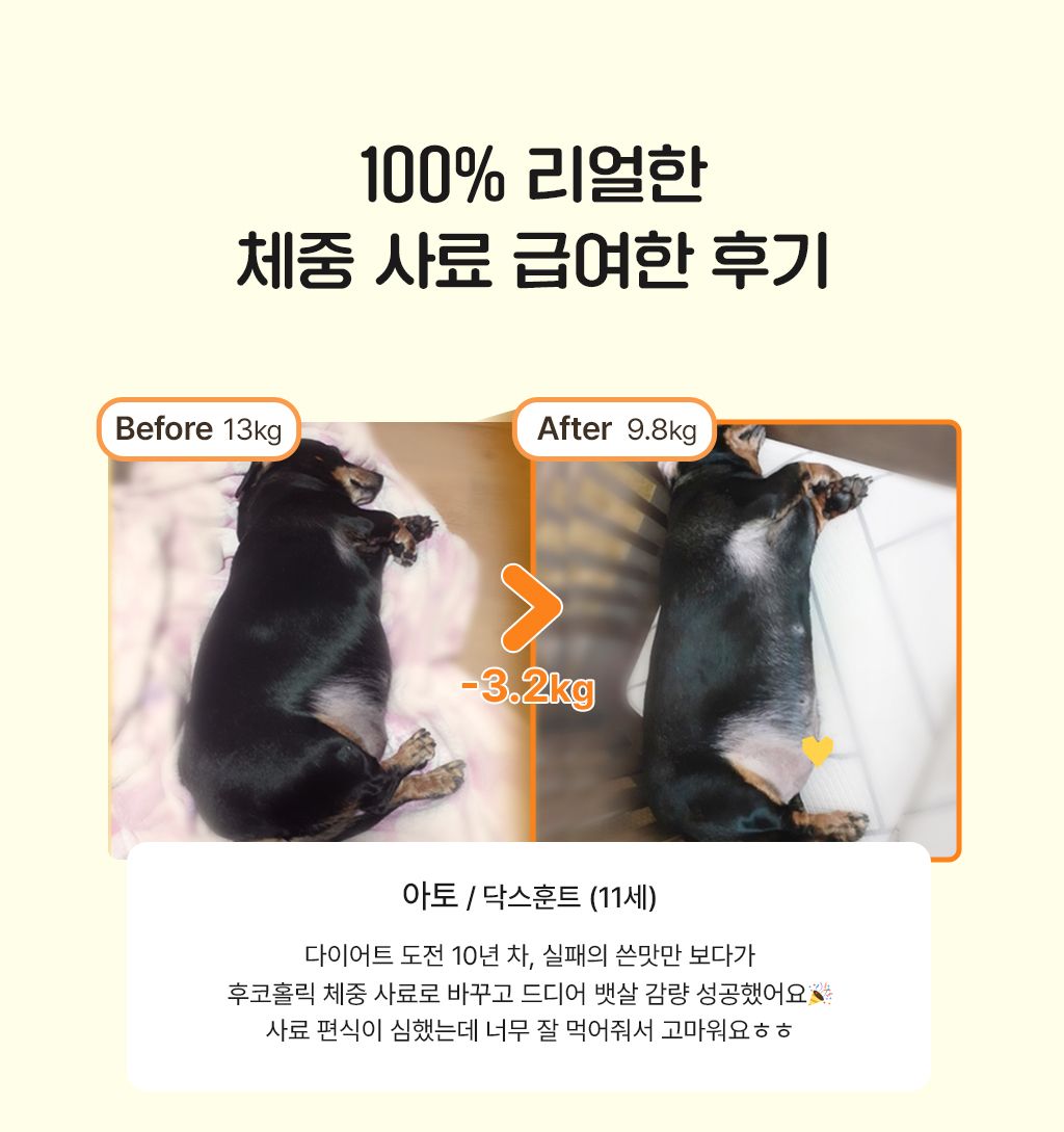 후코홀릭 인섹트도그 체중 2.4kg 2번째