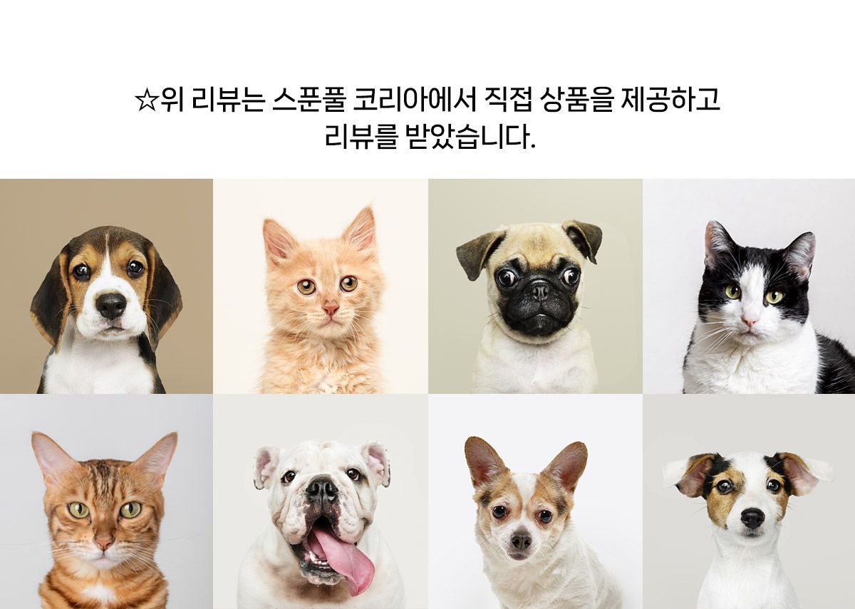 [NEW신상][체험팩] 스푼풀 자연산 알래스카 연어 프레쉬 오메가-3 220mg 3캡슐 13번째