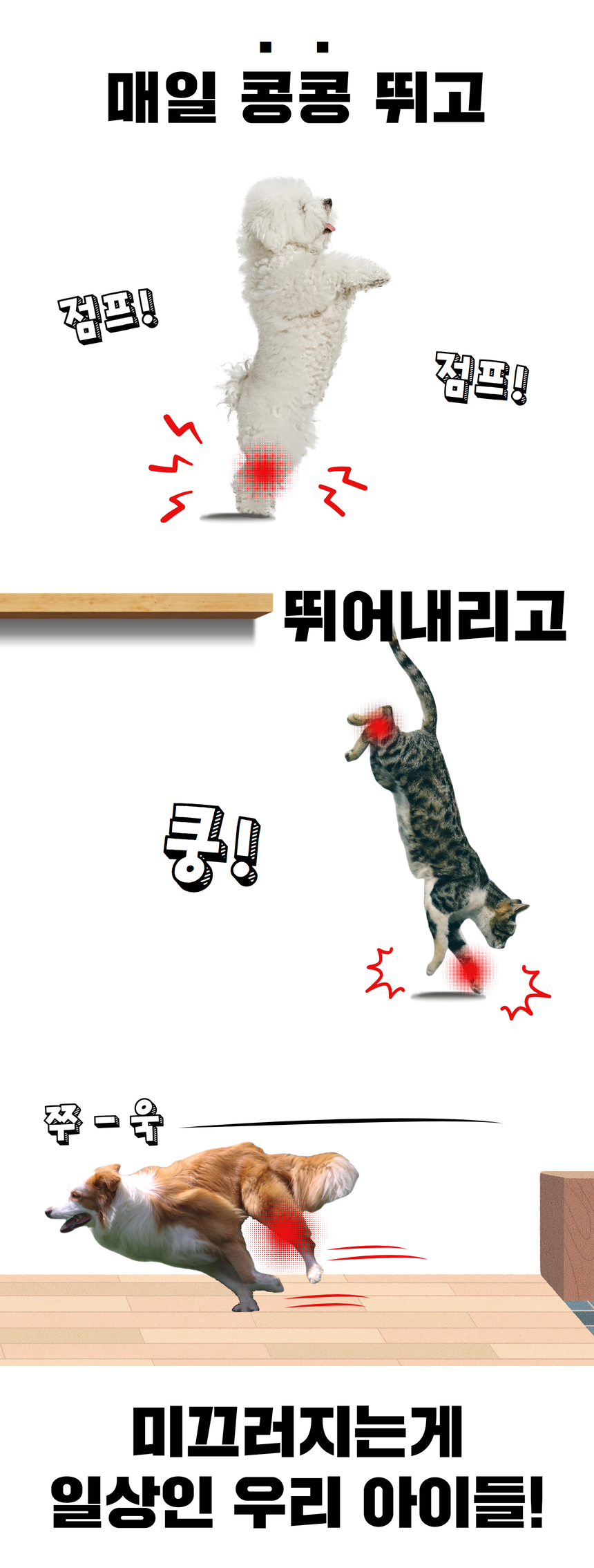 [무료배송] 잠보아 뉴트리페어 굿바이 조인트페인 180g 6번째