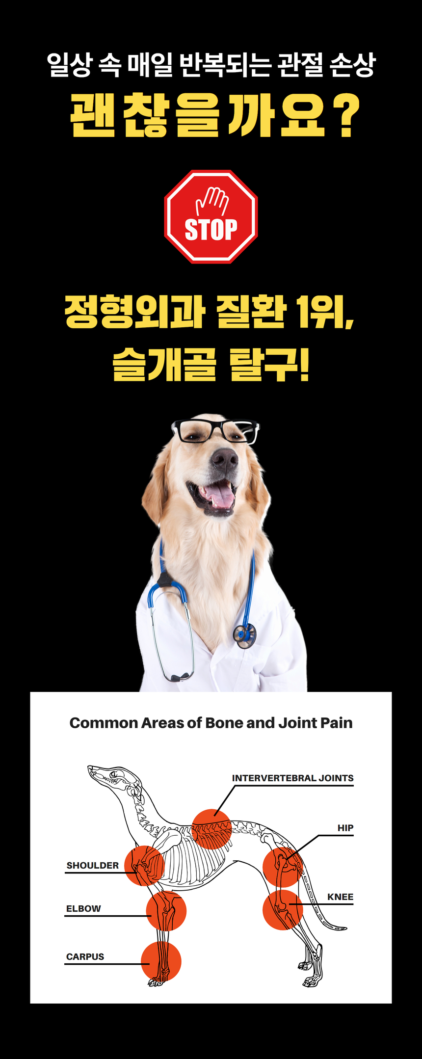 [무료배송] 잠보아 뉴트리페어 굿바이 조인트페인 180g 8번째