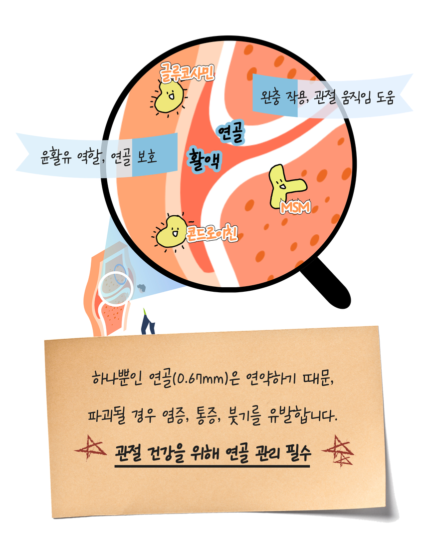 [무료배송] 잠보아 뉴트리페어 굿바이 조인트페인 180g 18번째