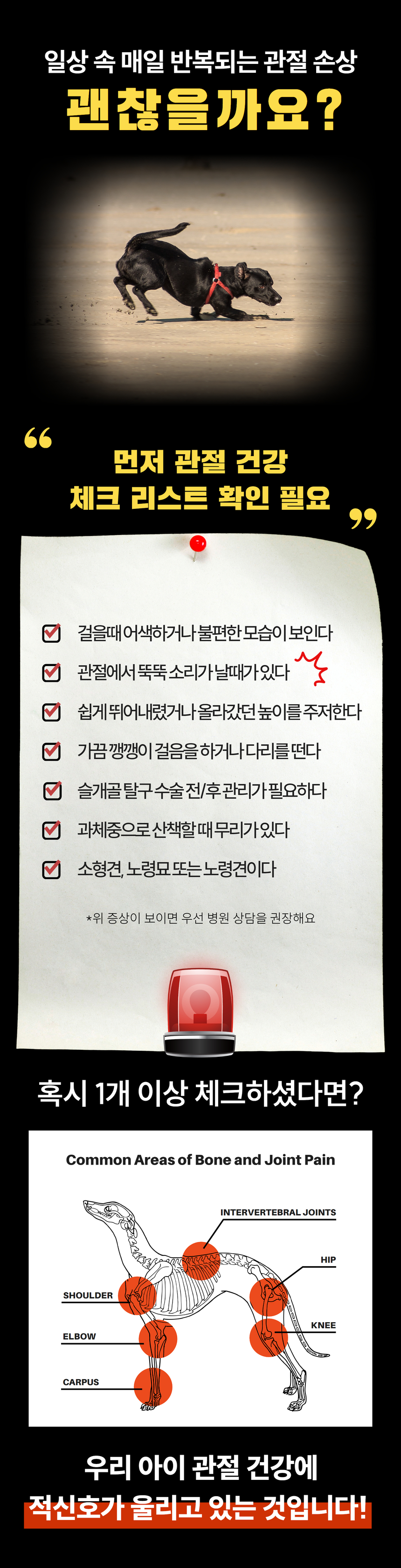 [무료배송] 잠보아 뉴트리페어 굿바이 조인트페인 180g 7번째