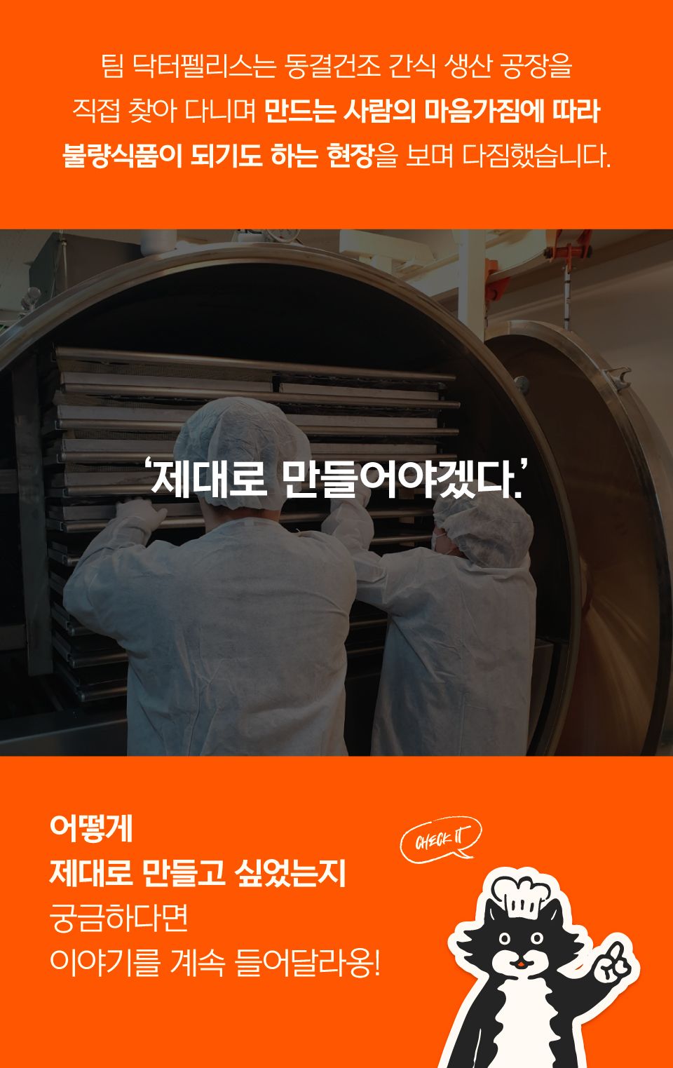 닥터펠리스 포캣트릿 가자미 동결건조 간식 25g 12번째
