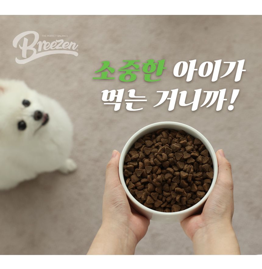 [창고대방출] 브리젠 독 어덜트 연어 5.44kg 17번째
