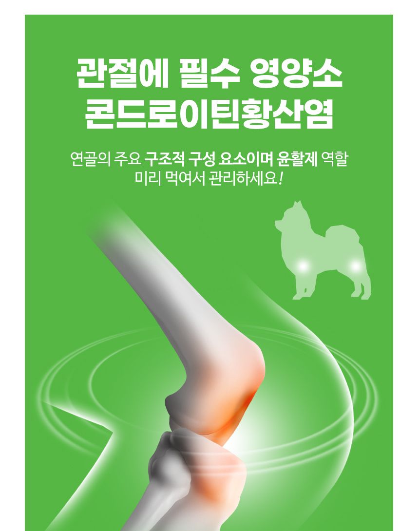 [창고대방출] 브리젠 독 어덜트 연어 5.44kg 29번째