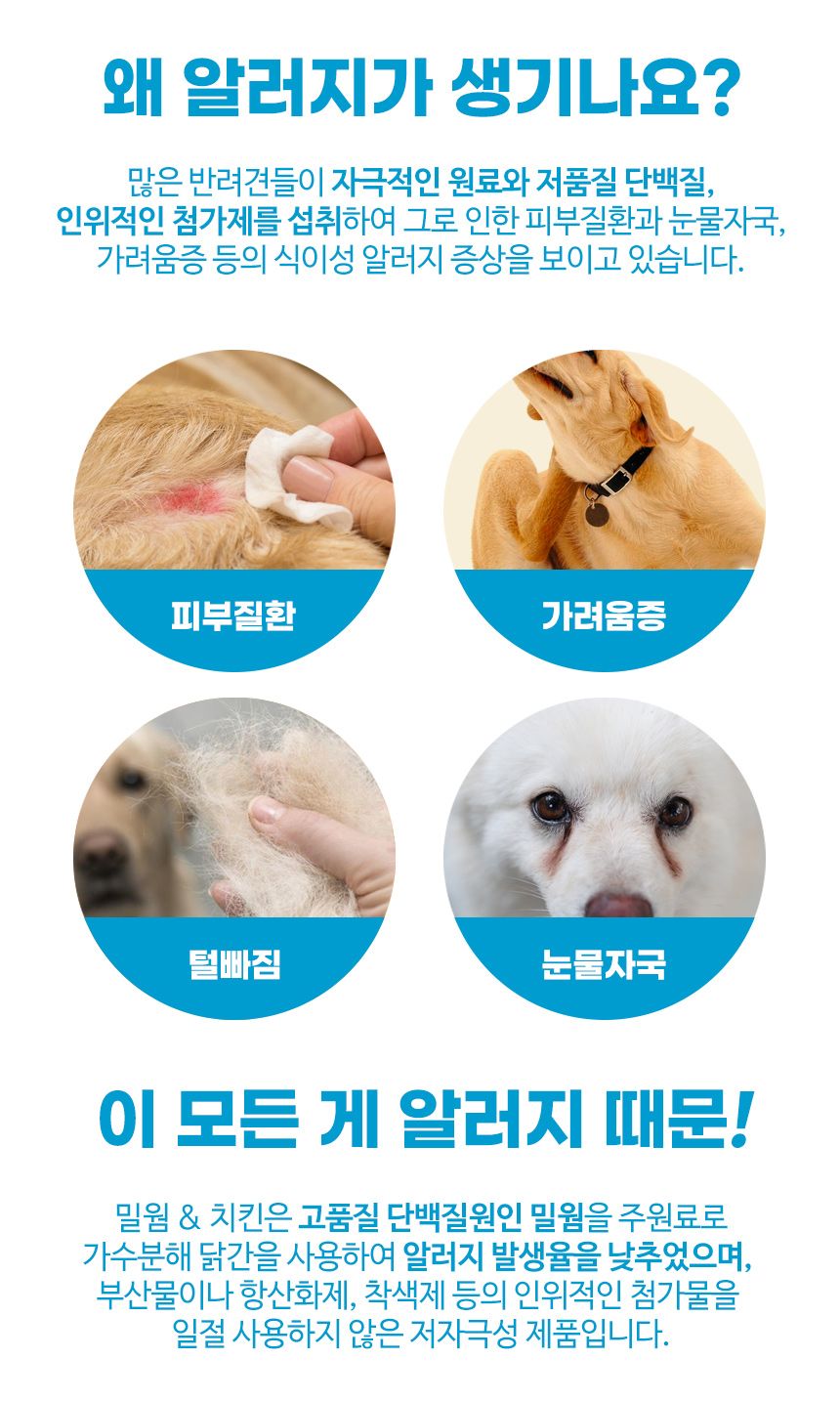 [창고대방출] 브리젠 독 어덜트 연어 5.44kg 33번째
