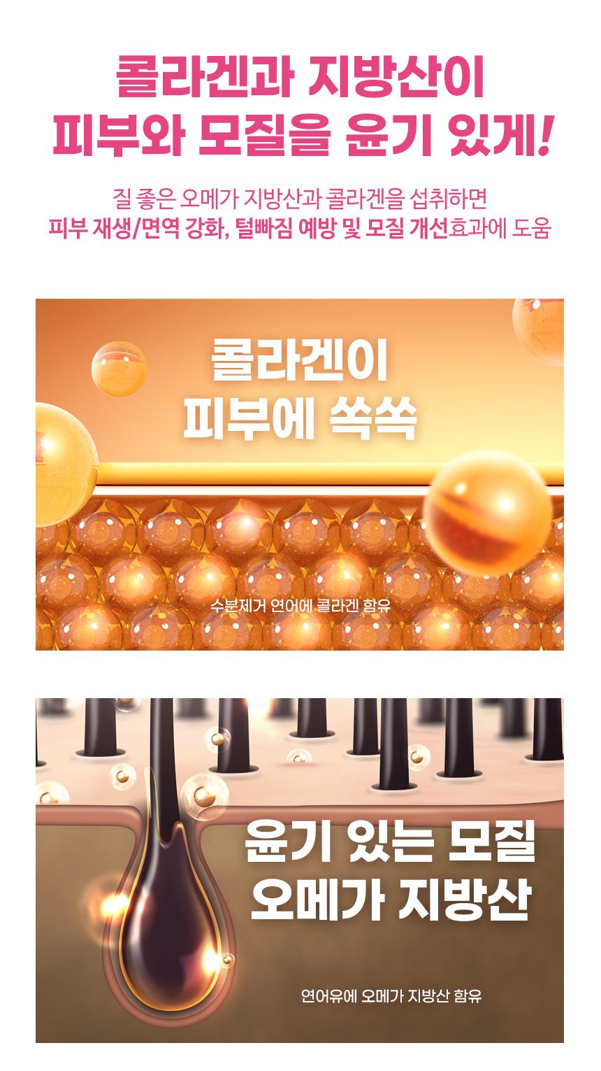 [창고대방출] 브리젠 독 어덜트 연어 5.44kg 41번째