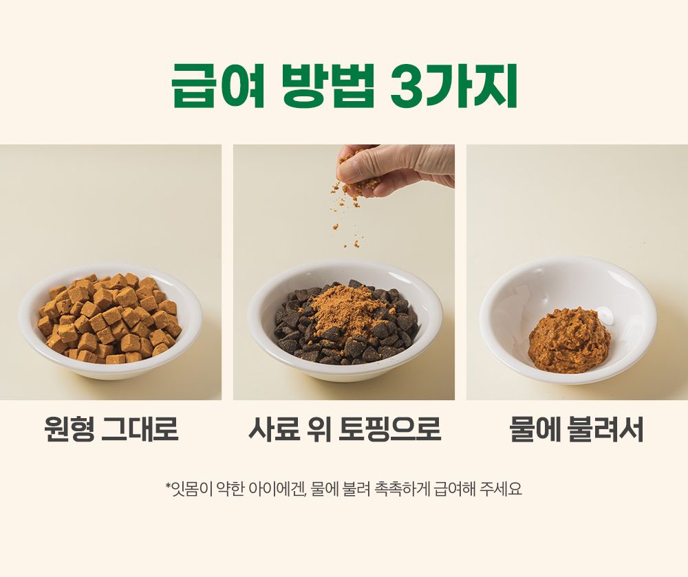 [체험단] 후코잇 독 기능성 동결건조간식 초록입홍합 60g 19번째