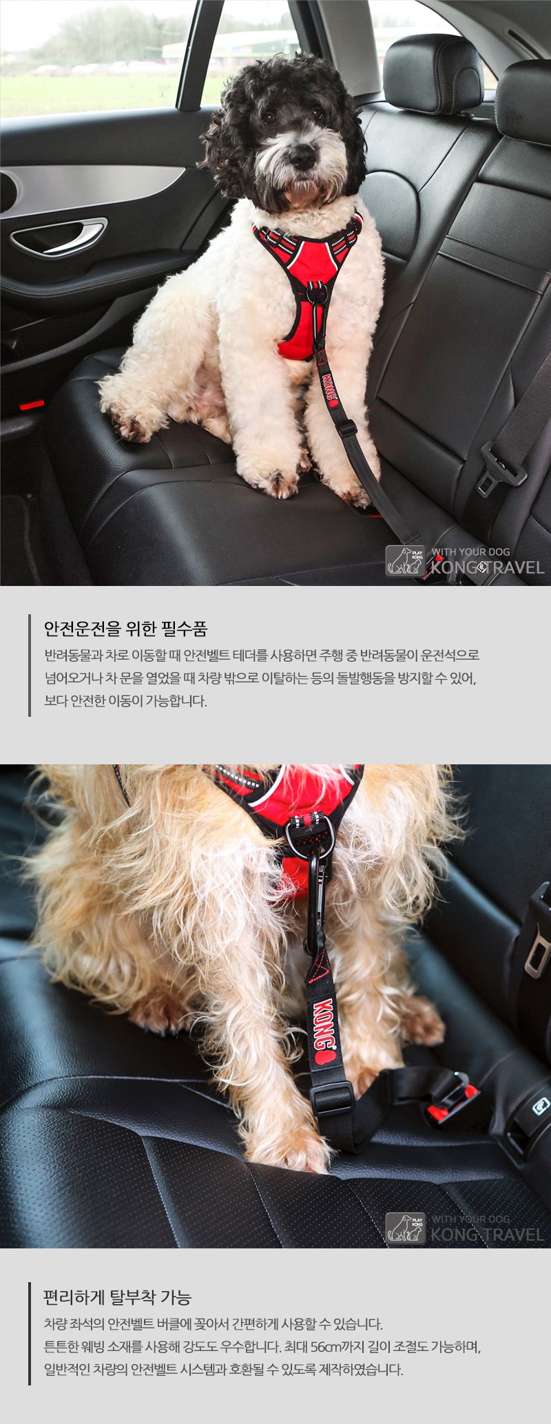 [무료배송] KONG 트레블 안전벨트 테더 5번째