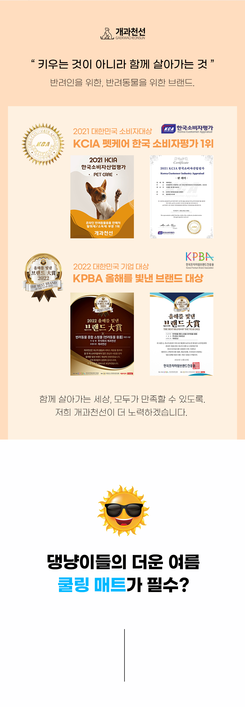 [NEW신상][무료배송] 개과천선 코쿨 방석 (그레이/옐로우/블루) 2번째