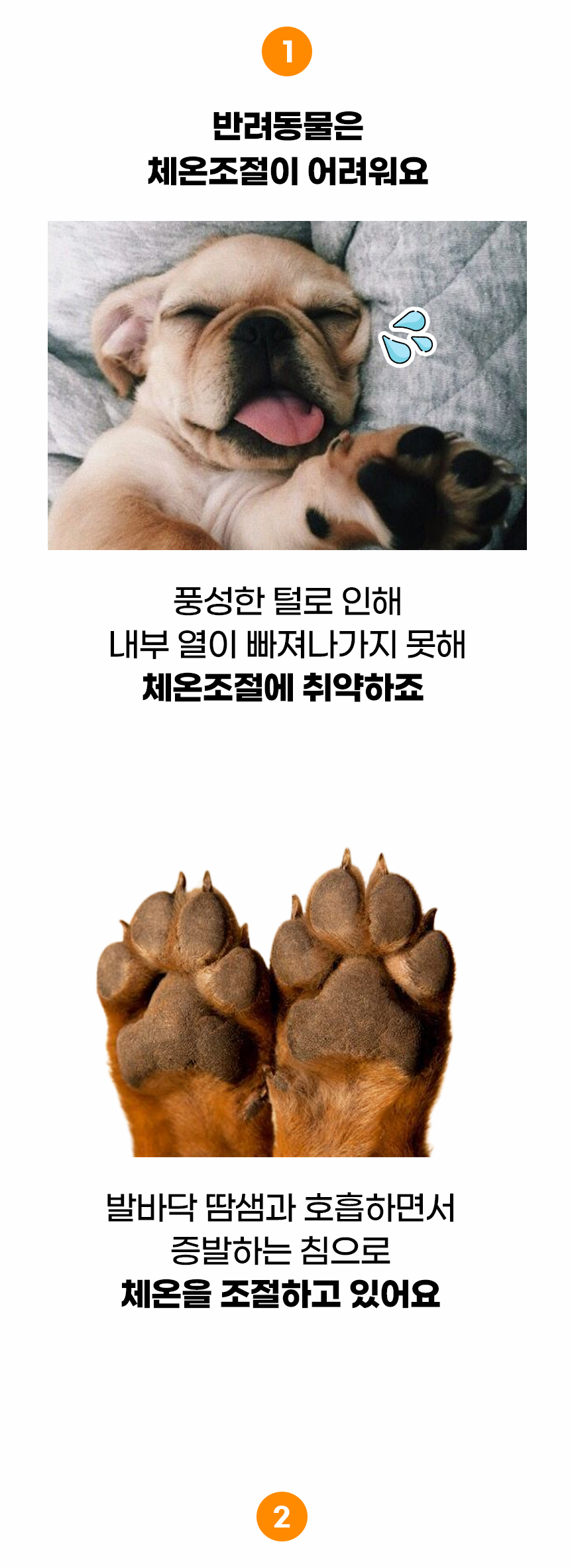 [NEW신상][무료배송] 개과천선 코쿨 방석 (그레이/옐로우/블루) 3번째
