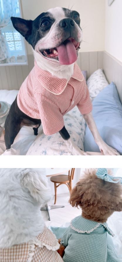 [무료배송] 찰리롤리 데일리 체크 잠옷 레이스 파자마 커플룩 베이지/민트/핑크 S-2XL 15번째