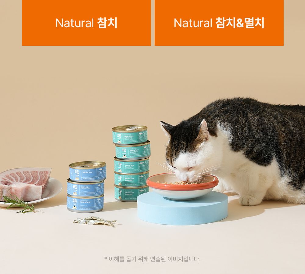 [추가증정][7개] 조공 소피 캣 내추럴 참치 90g + 내추럴 참치 1개 21번째