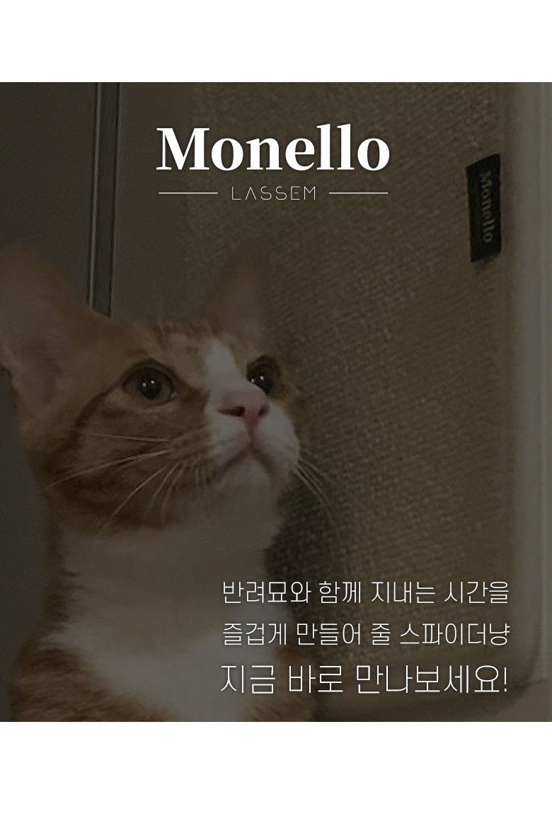 [무료배송] 모넬로 스파이더냥 초대형 클라이밍 고양이 수직 벽부착 스크래쳐 GO22314 17번째