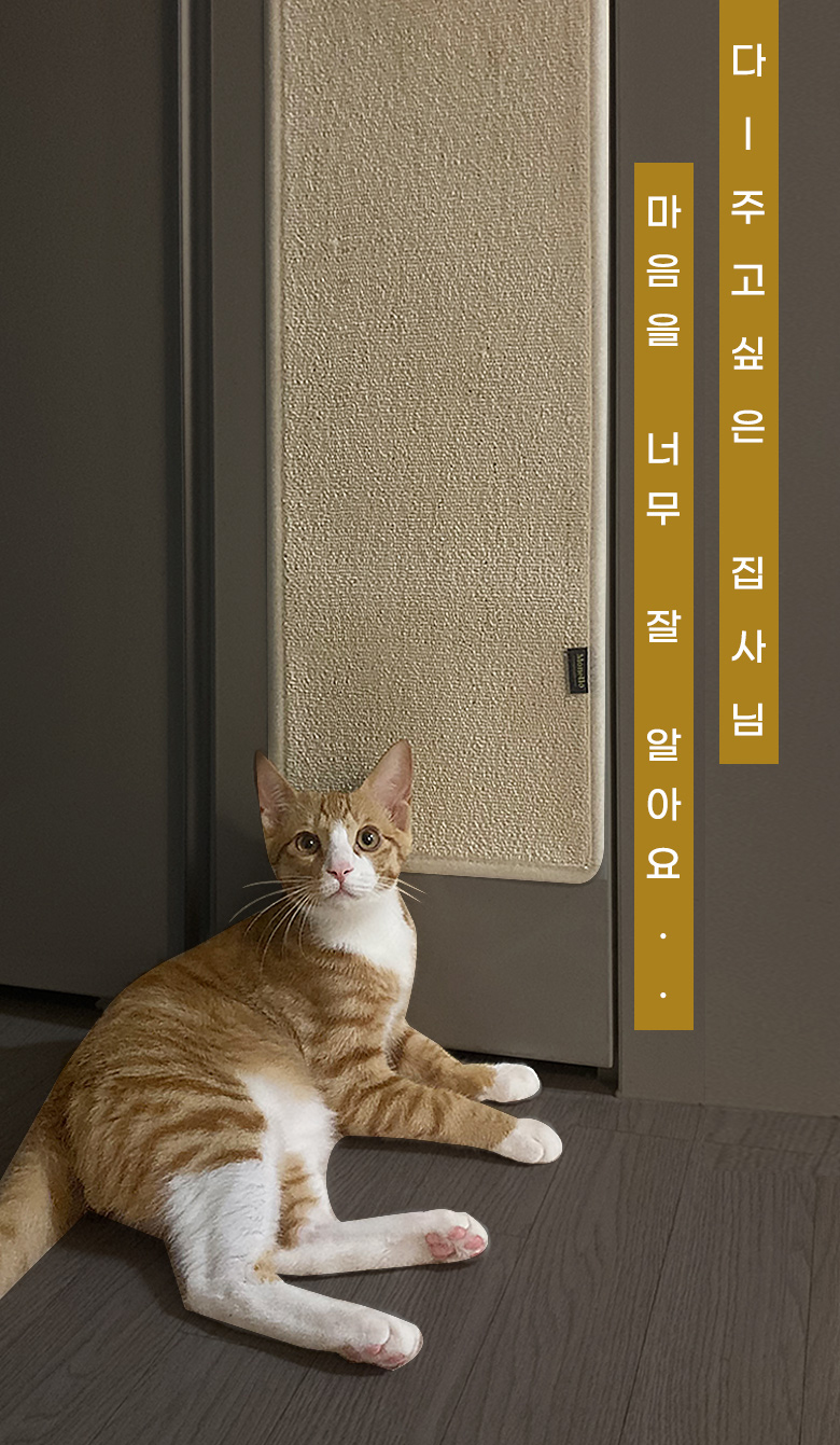 [무료배송] 모넬로 스파이더냥 초대형 클라이밍 고양이 수직 벽부착 스크래쳐 GO22314 3번째