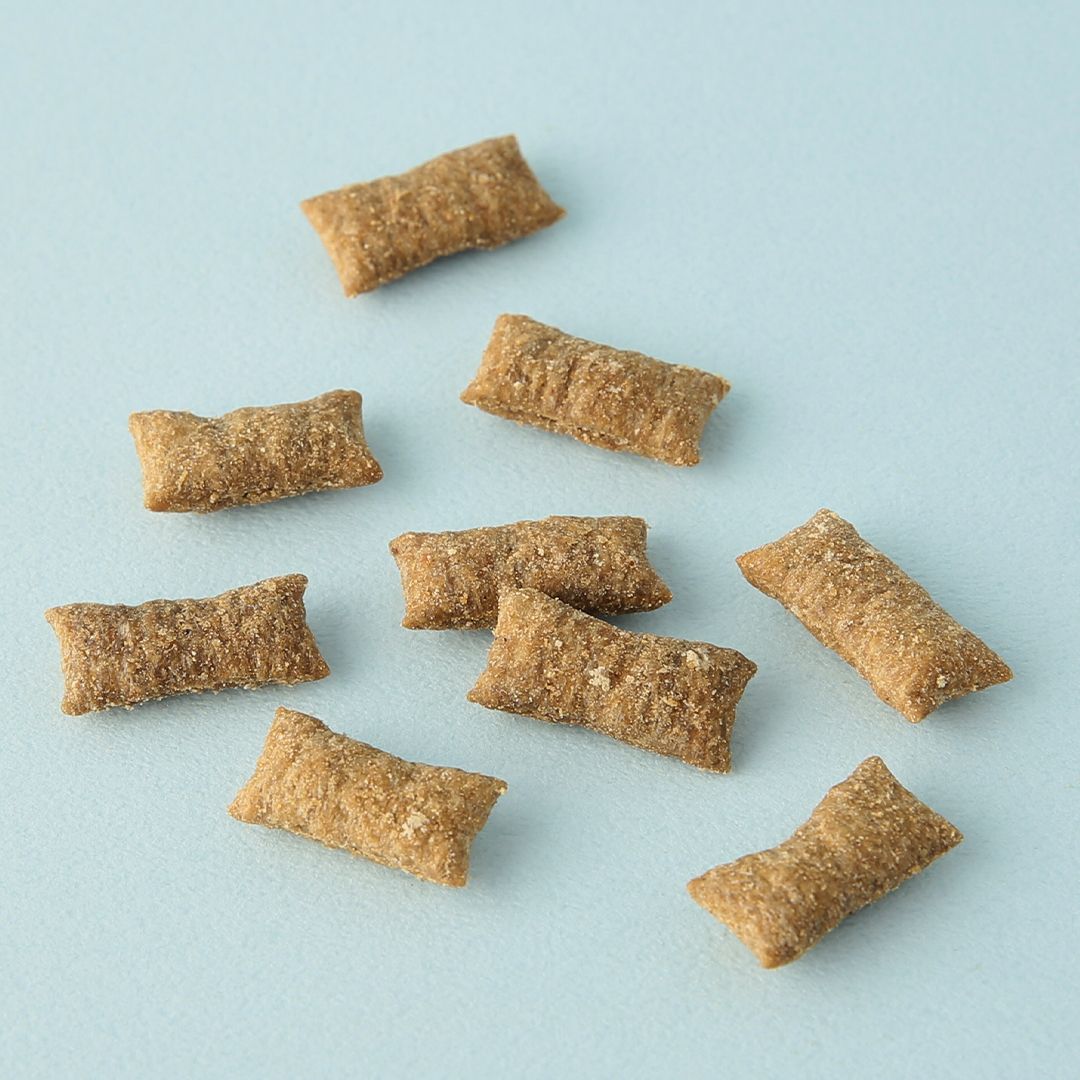 [꽉찬펫프]네츄럴코어 독 멍쵸 치킨 10g 2번