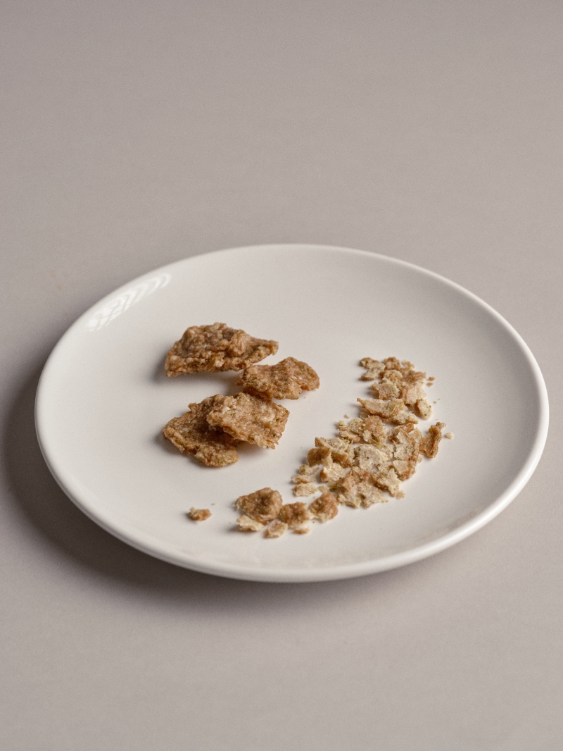[무료배송] 아더마스 독 포크칩 45g 5번째