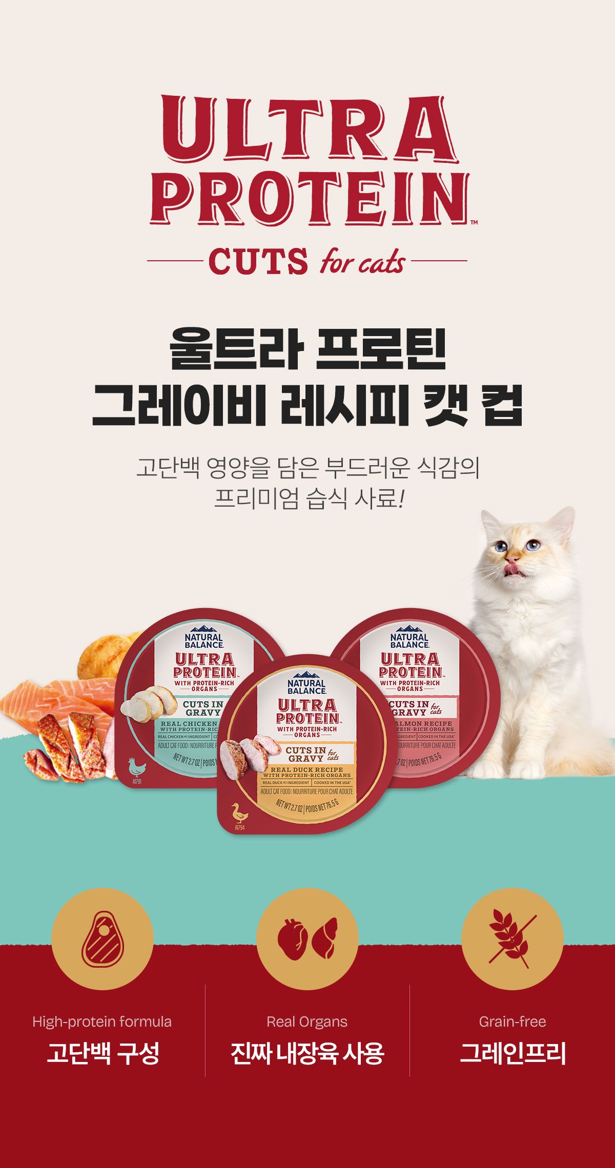 [NEW신상]내추럴발란스 캣 울트라 프로틴 리얼 덕 그레이비 레시피 컵 76g 10번째