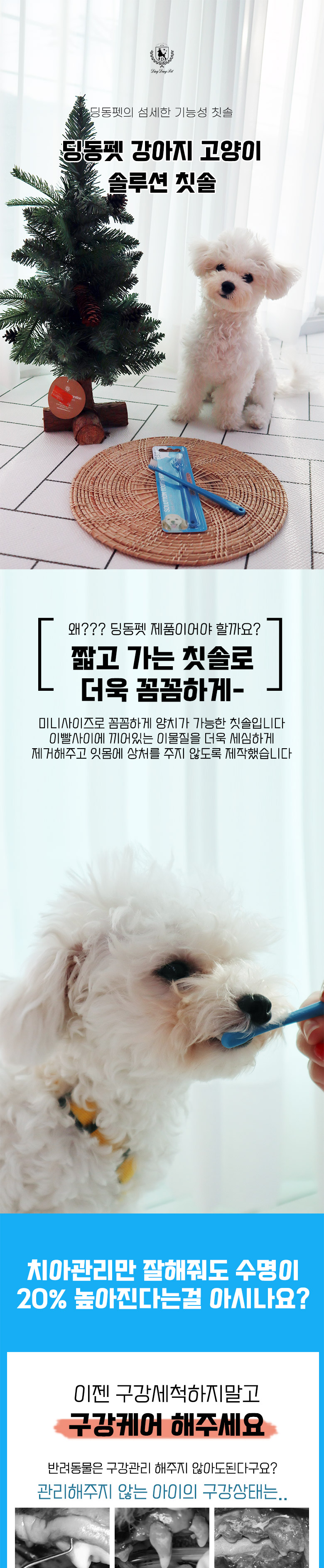 [무료배송] 딩동펫 강아지 솔루션 칫솔 6p 1번째
