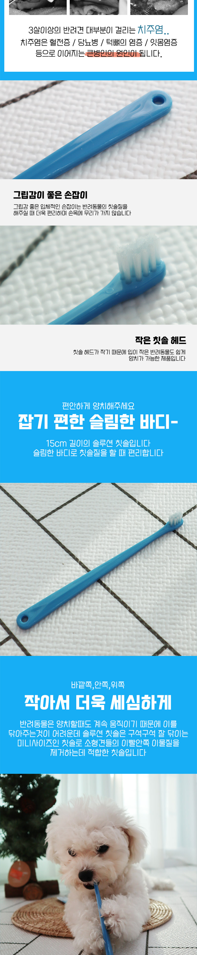 [무료배송] 딩동펫 강아지 솔루션 칫솔 6p 2번째