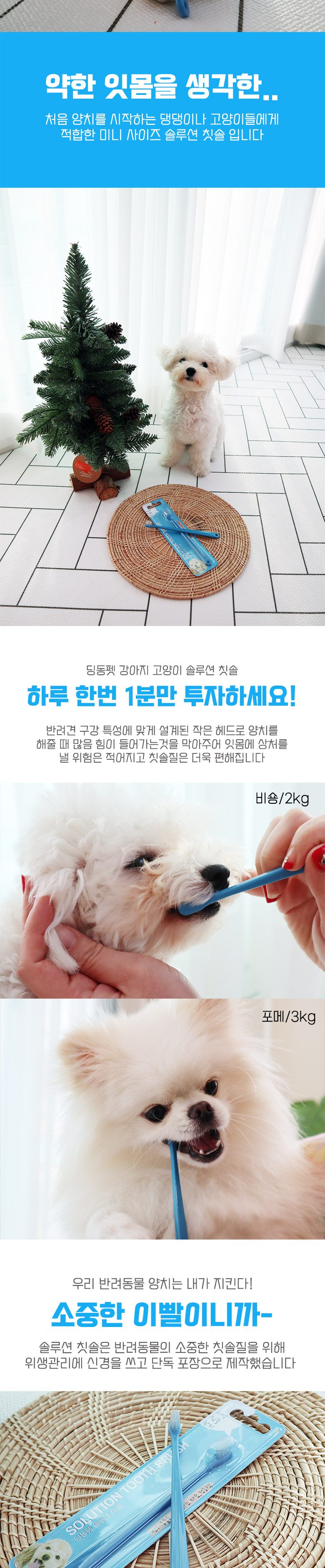 [무료배송] 딩동펫 강아지 솔루션 칫솔 6p 3번째