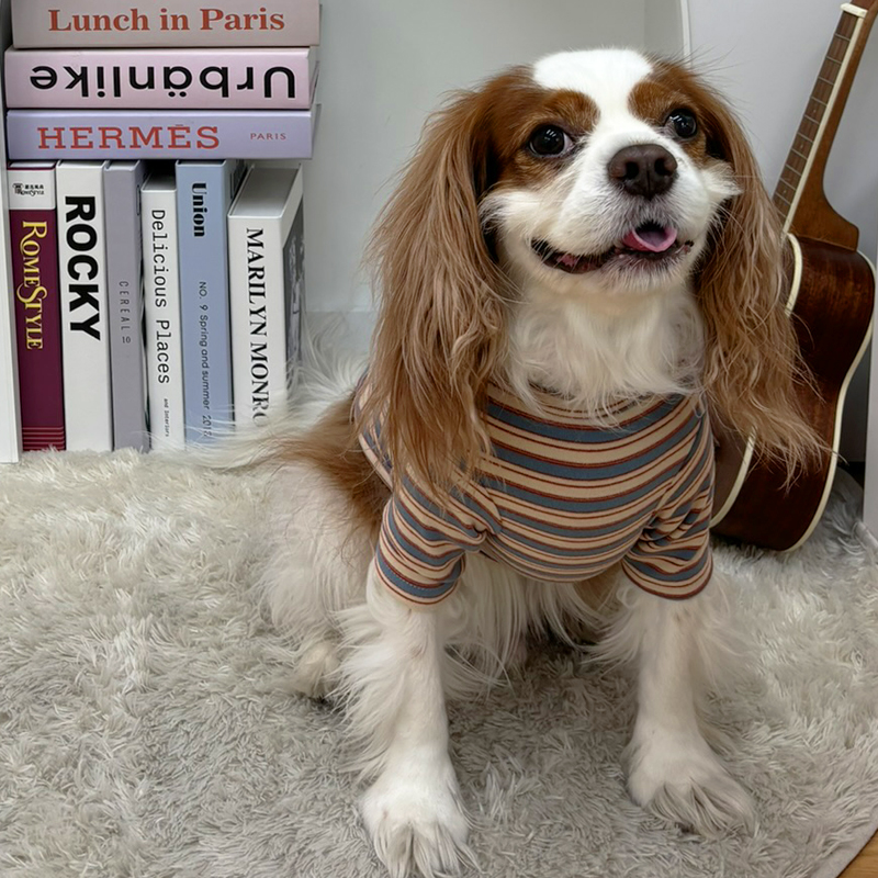 [무료배송] 해피댕댕 프렌즈단가라티 S - XL 7번째