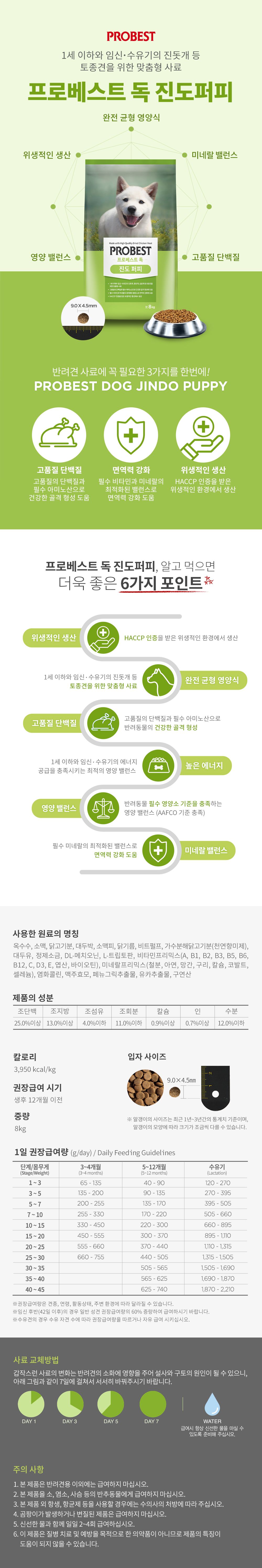 프로베스트 독 진도 퍼피 8kg 1번째