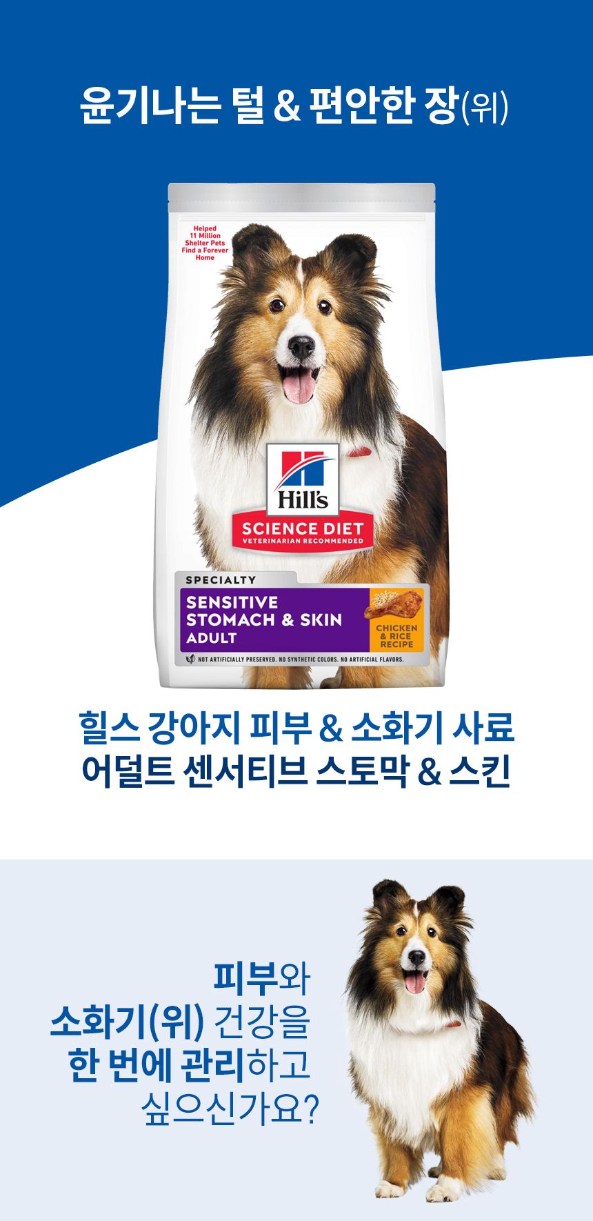 힐스 독 어덜트 센서티브 스토막 앤 스킨 치킨 13.6kg  1번째