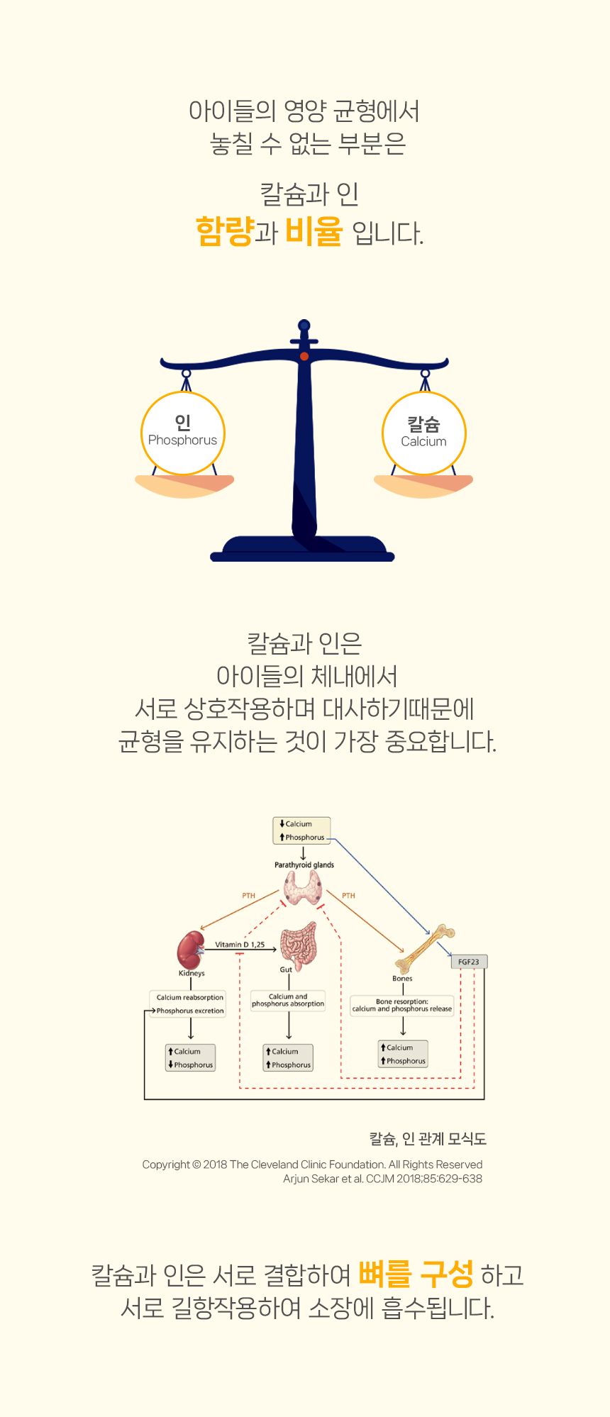 닥터뉴토 독 리메디케어 미음 오리 120g 12번째