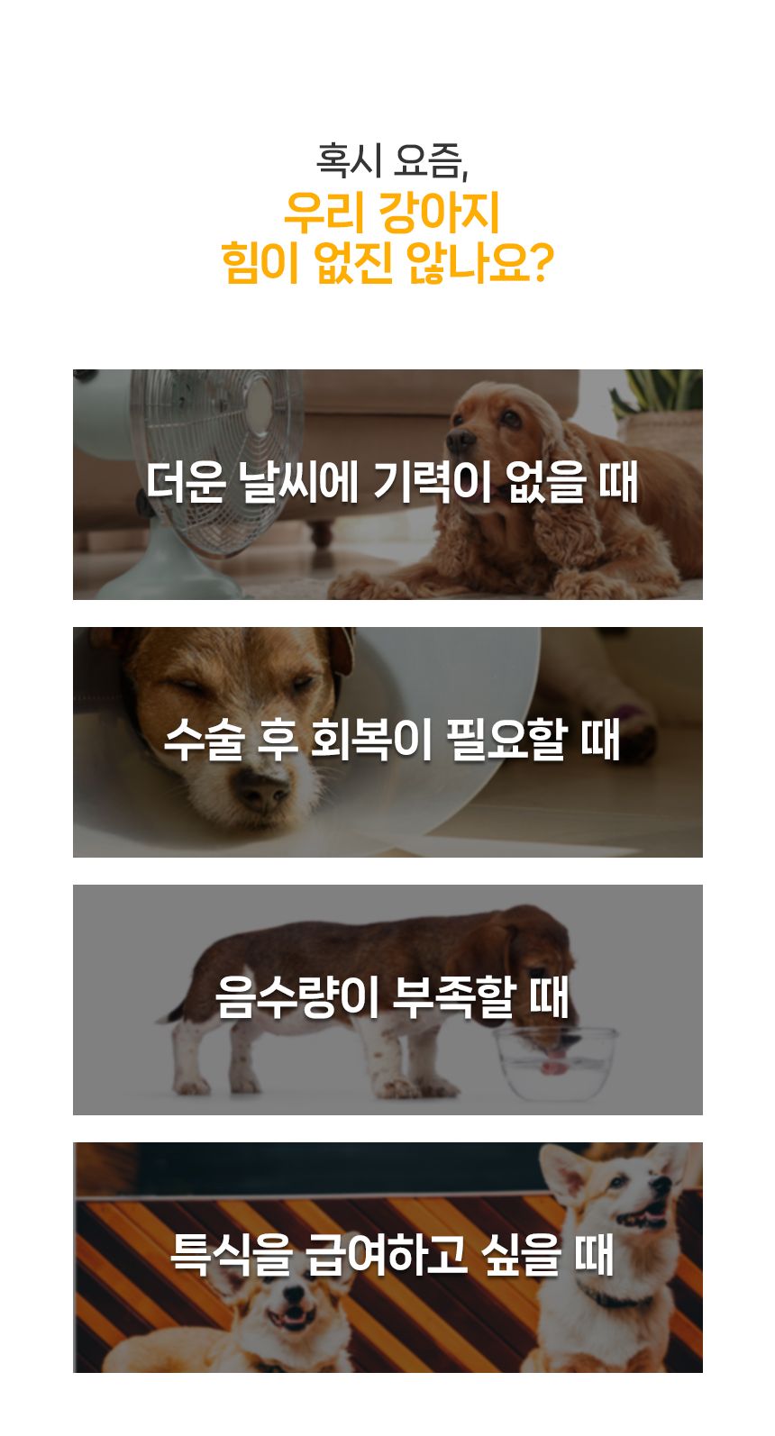 닥터뉴토 독 리메디케어 미음 오리 120g 8번째