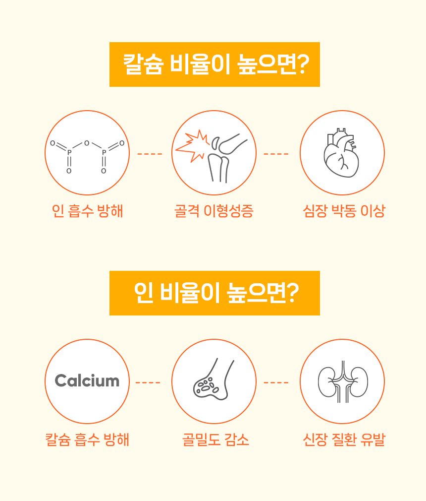 닥터뉴토 독 리메디케어 미음 오리 120g 13번째