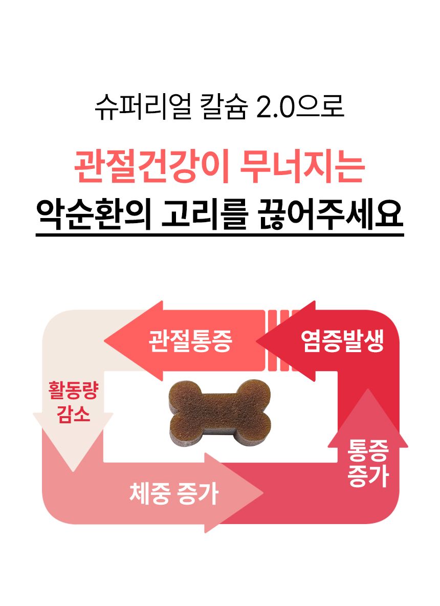 [심쿵펫페어]펫생각 독 미니 데일리케얼 리얼 칼슘 관절 영양제 66g  10번째