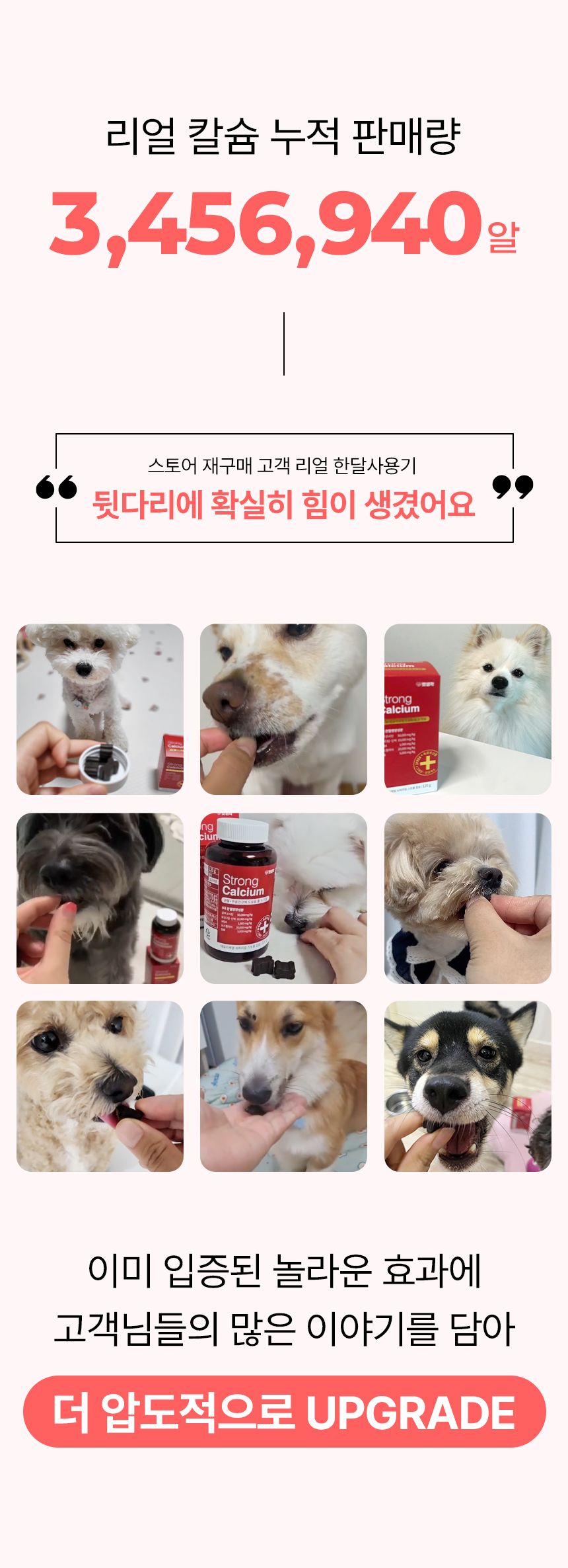 펫생각 독 미니 데일리케얼 리얼 칼슘 관절 영양제 66g 3번째