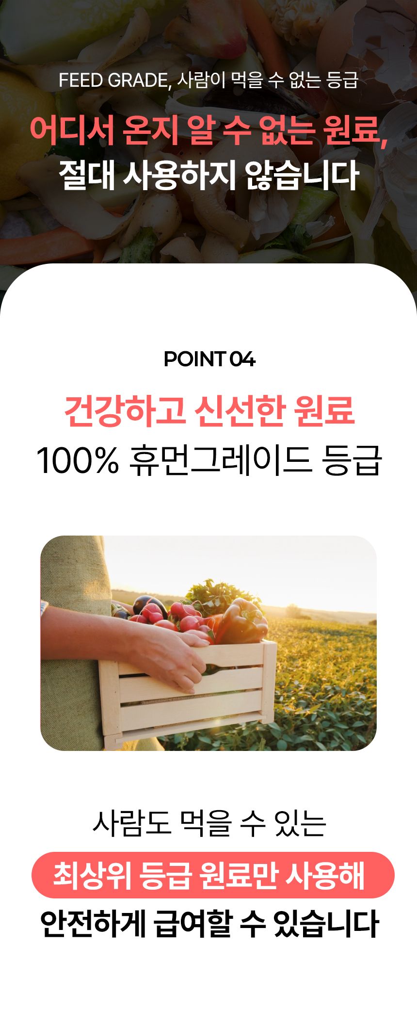 펫생각 독 미니 데일리케얼 리얼 칼슘 관절 영양제 66g 14번째