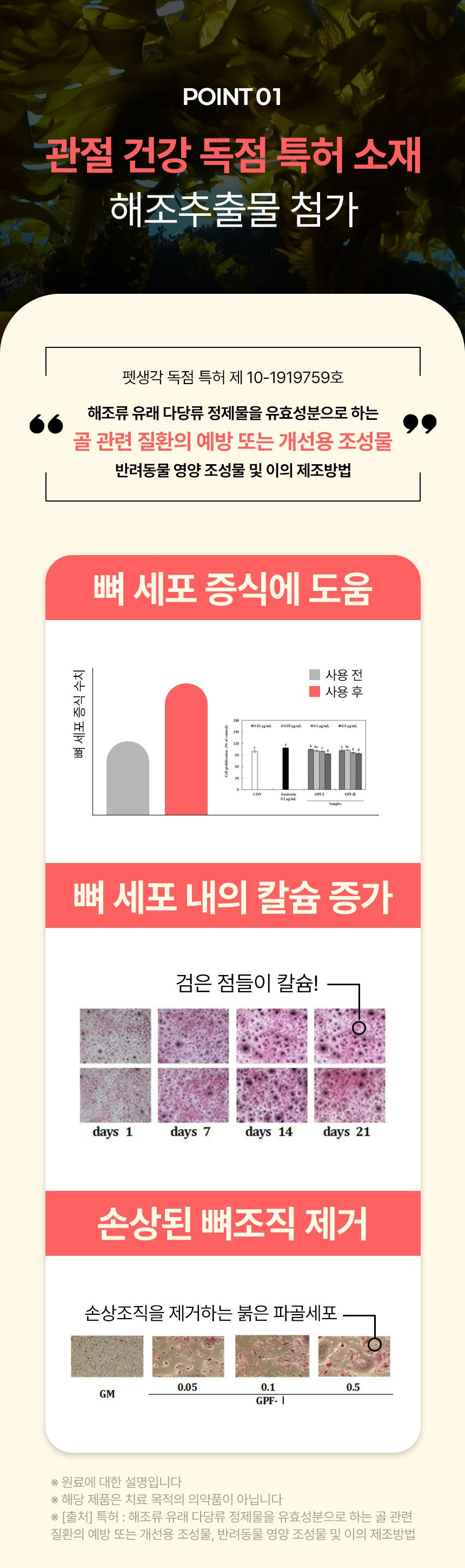 펫생각 독 미니 데일리케얼 리얼 칼슘 관절 영양제 66g 11번째