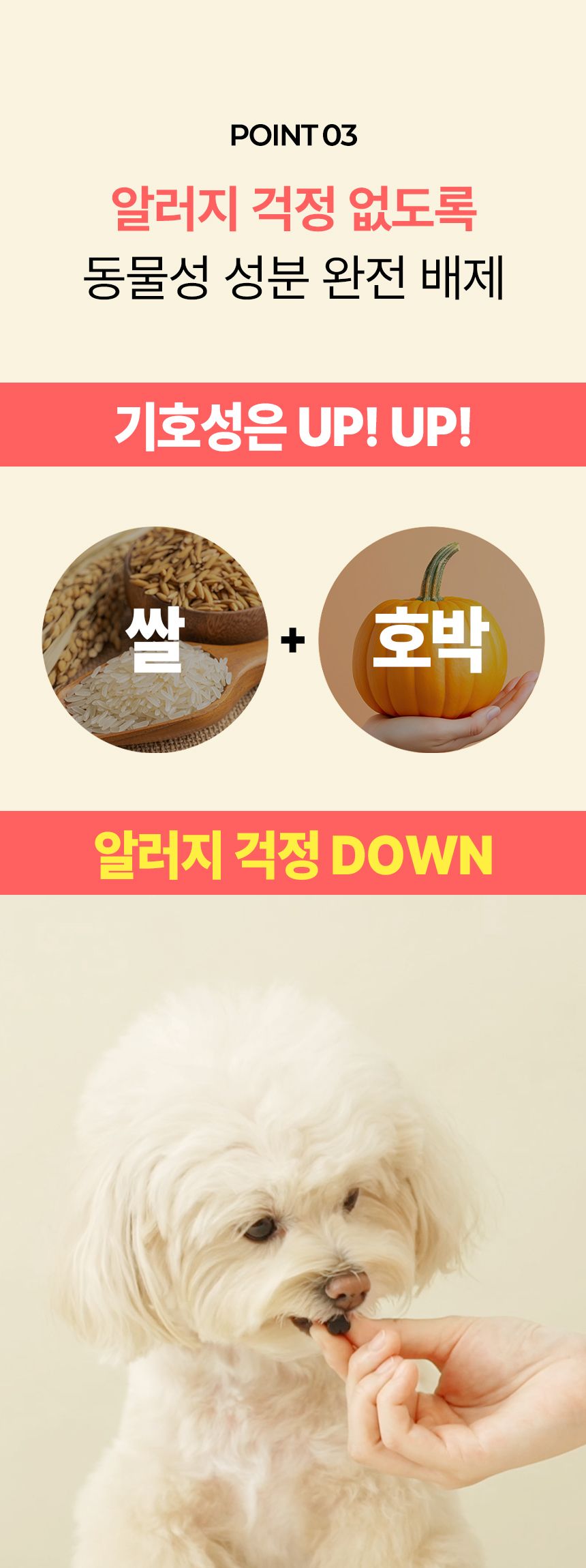 펫생각 독 미니 데일리케얼 리얼 칼슘 관절 영양제 66g 13번째