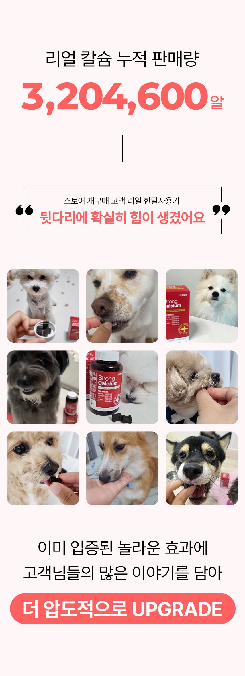 [심쿵펫페어]펫생각 독 미니 데일리케얼 리얼 칼슘 관절 영양제 66g  5번째