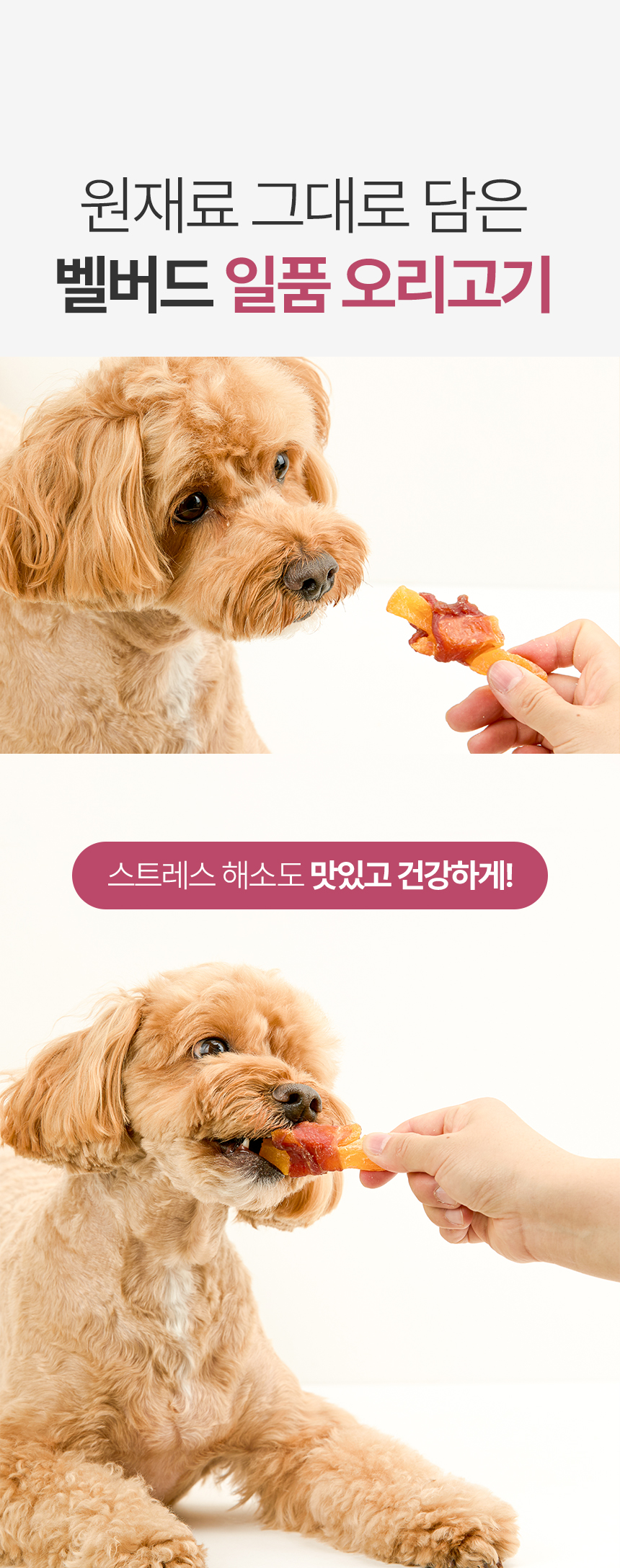 [NEW신상][무료배송] 벨버드 독 일품 오리 고구마 사사미 300g 17번째