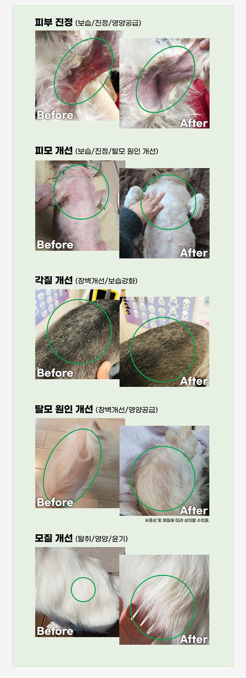 [유통기한임박, 26년1월16일] 두카메디 셀케어 미스트 100ml 10번째