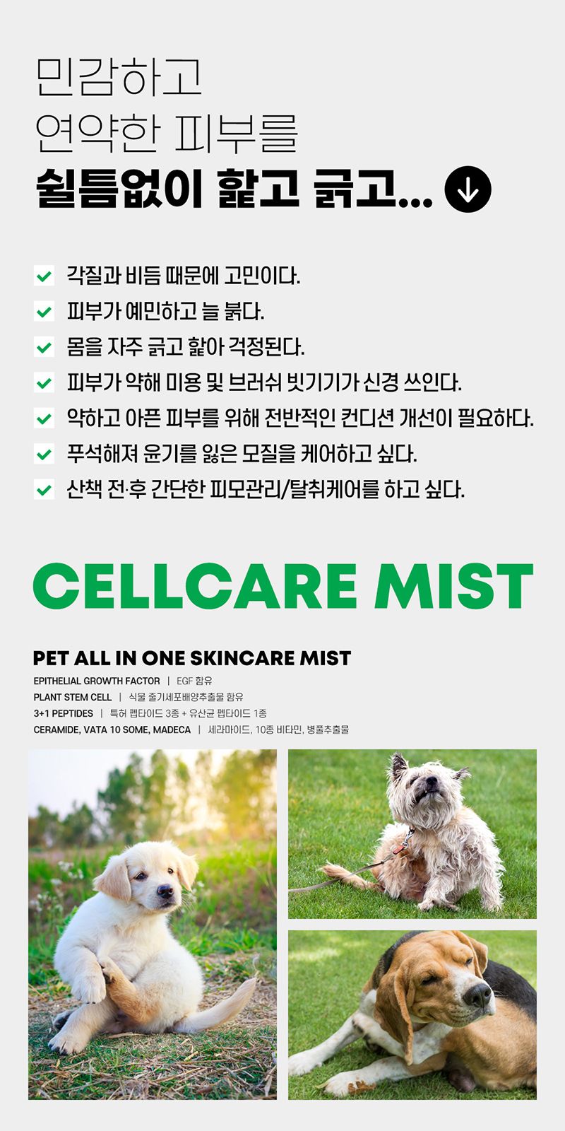 [유통기한임박, 26년1월16일] 두카메디 셀케어 미스트 100ml 5번째