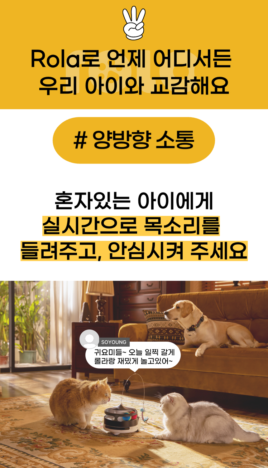 [NEW신상][무료배송] 에나봇 ROLAPETPAL 롤라펫팔 움직이면서 간식주는 펫캠 CCTV 로봇 33번째