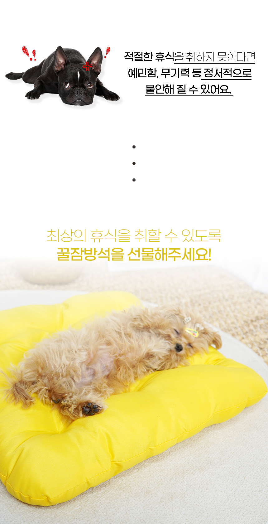 [NEW신상][무료배송] 개과천선 로우 방석 옐로우 3번째
