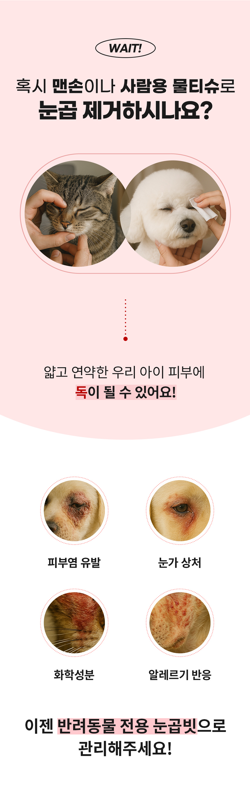 [NEW신상][무료배송] 자유펫 페이셜 그루밍 콤 눈꼽빗 브러쉬 6번째
