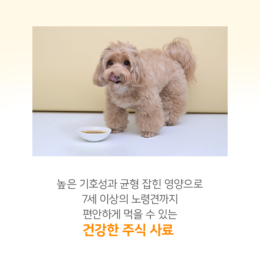 [NEW신상][무료배송] 닥터뉴토 독 에너지케어 미음 닭 120gx10개 4번째