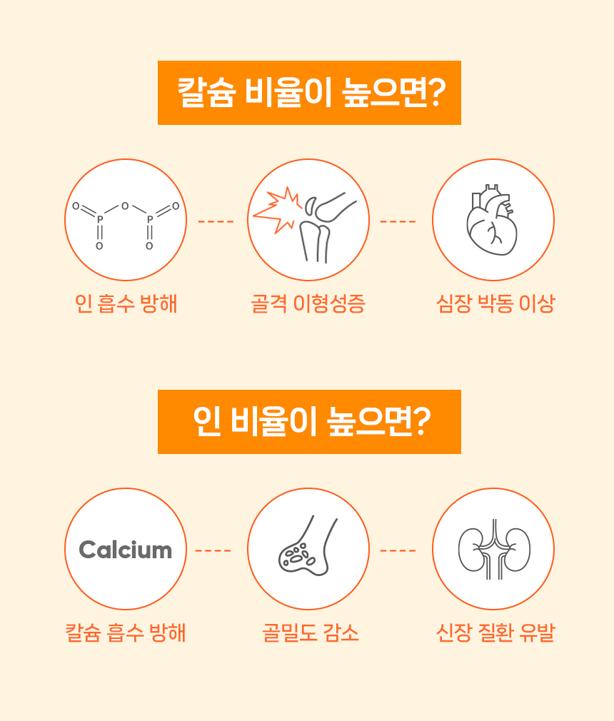 [NEW신상][무료배송] 닥터뉴토 독 에너지케어 미음 닭 120gx10개 15번째