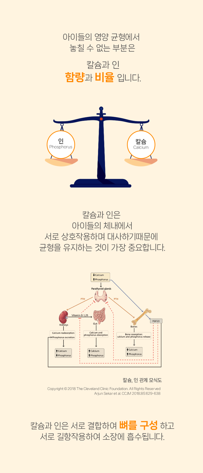 [NEW신상][무료배송] 닥터뉴토 독 에너지케어 미음 닭 120gx10개 14번째
